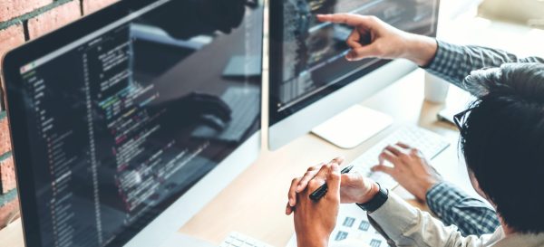 Developing programmer Team Development Website design and coding